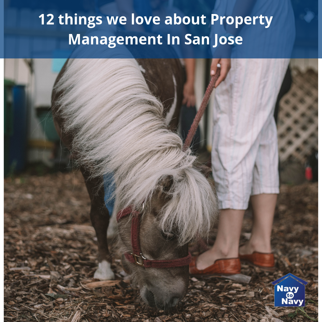 12 things we love about Property Management In San Jose